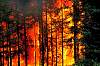fire92.1956.jpg