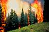 fire92.1983.jpg
