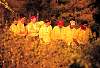 firefighting92.03286.jpg