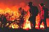firefighting92.040420.jpg