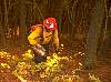 firefightingni000688fs.jpg
