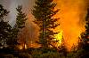 fireimg0003.jpg